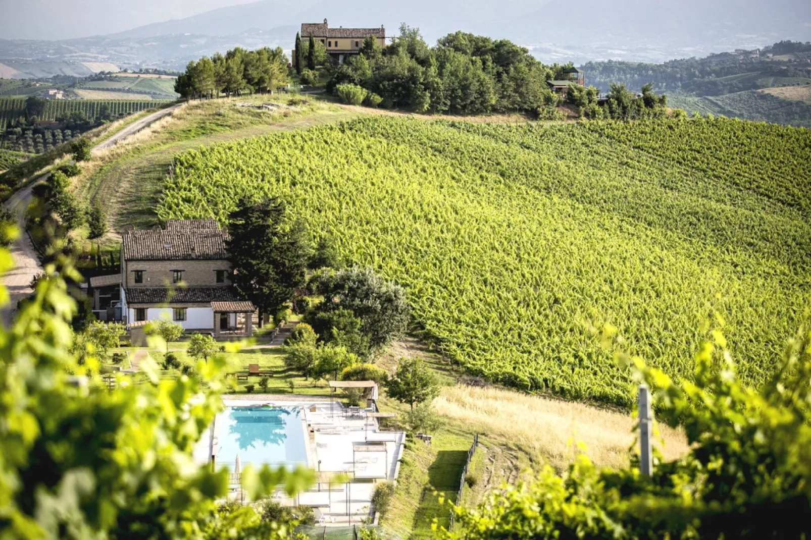 Ginestra