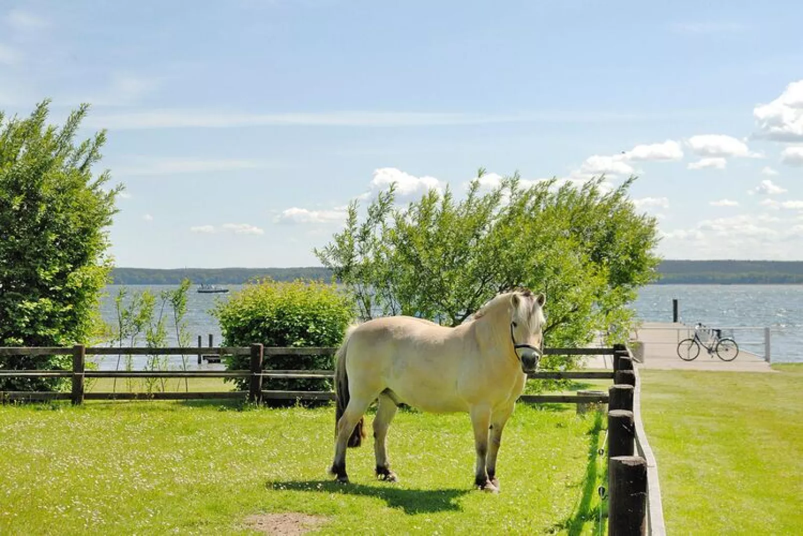 Terrasse 2 - Best Price 45 qm-Waterzicht