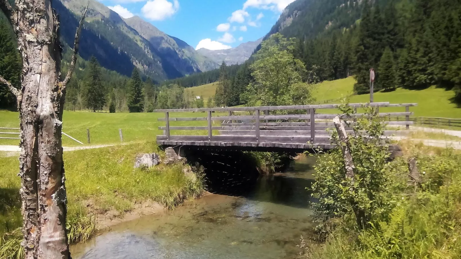 Wolfgangchalet C