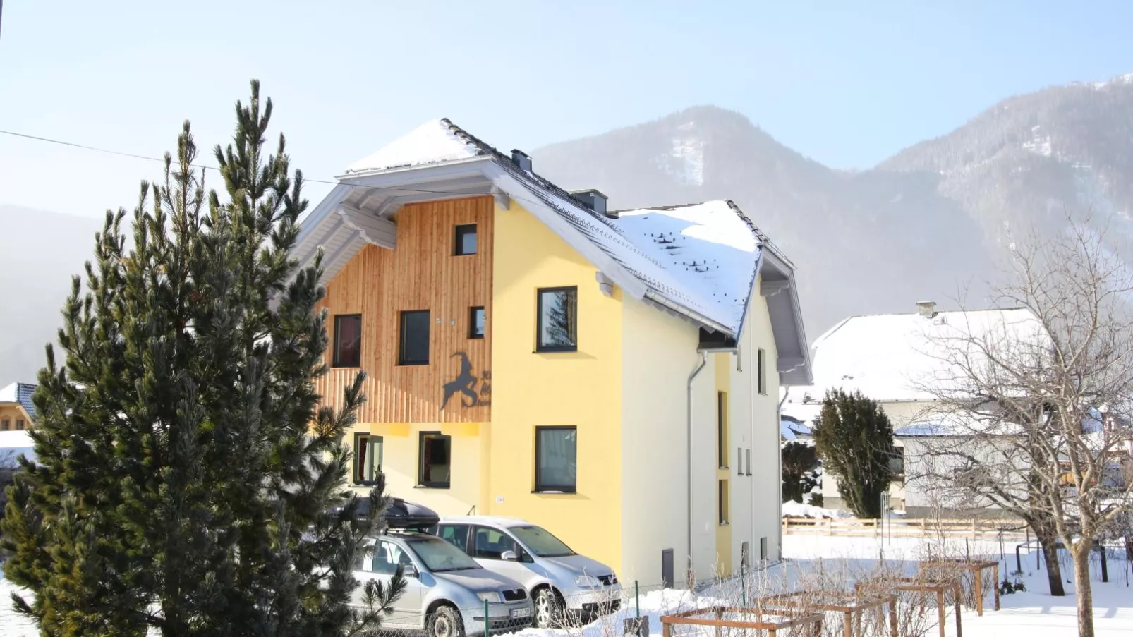 Alpensteinbock Mauterndorf I-Exterieur winter