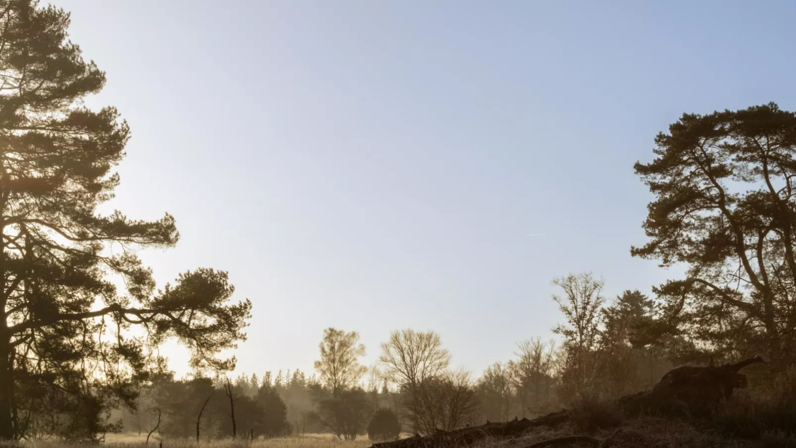 Vakantiehuis Vos-Gebieden zomer 5km