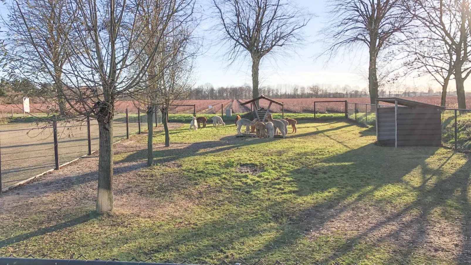 Alpacafarm Vorstenbosch-Uitzicht zomer