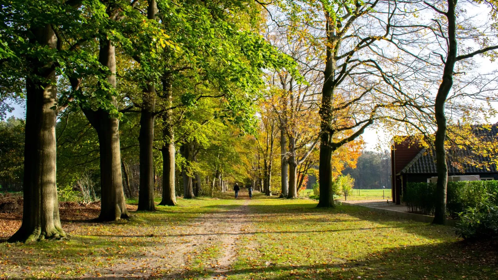 Landhuis de Vos-Gebieden zomer 1km