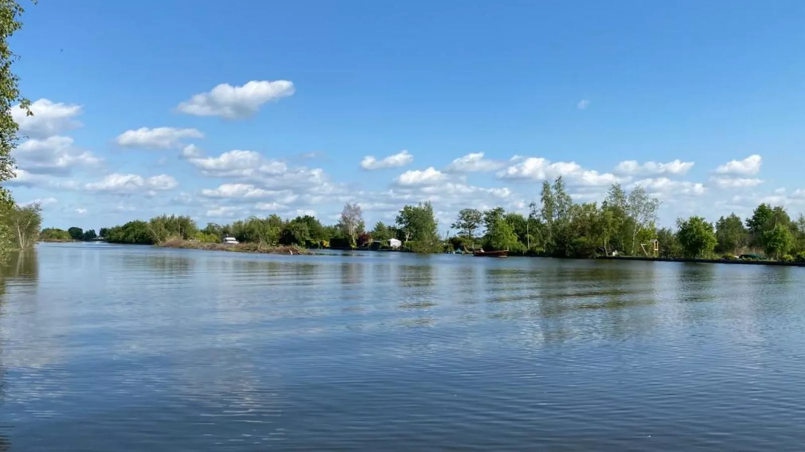 Zwaan 24-7-Gebieden zomer 1km