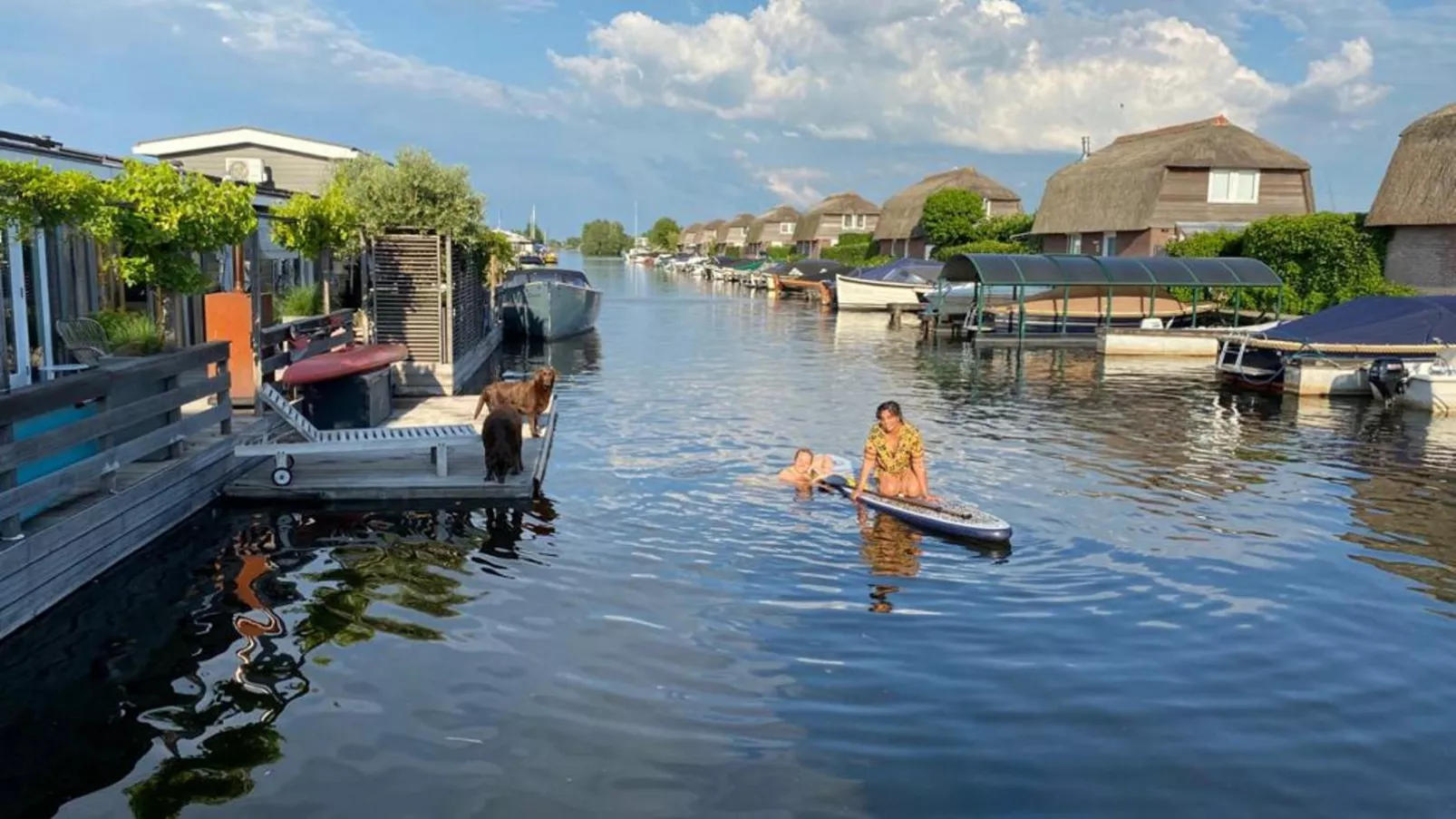 Zwaan 24-6-Waterzicht