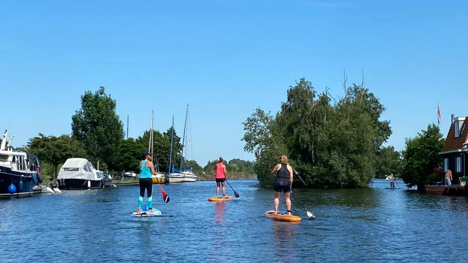 Zwaan 24-6-Gebieden zomer 1km