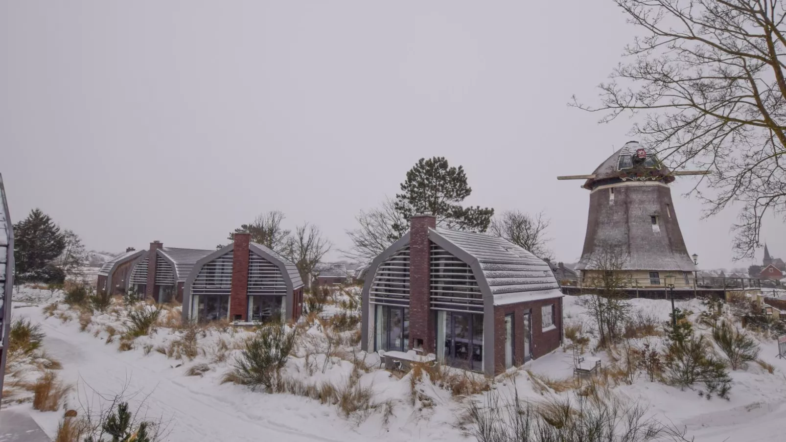 Duinland-Gebied winter 1km