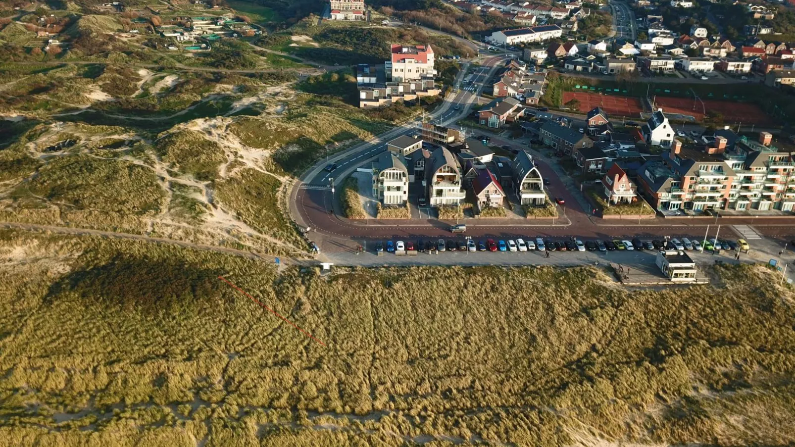 Krab aan Zee