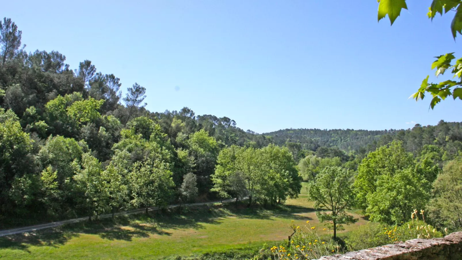 viewsummer