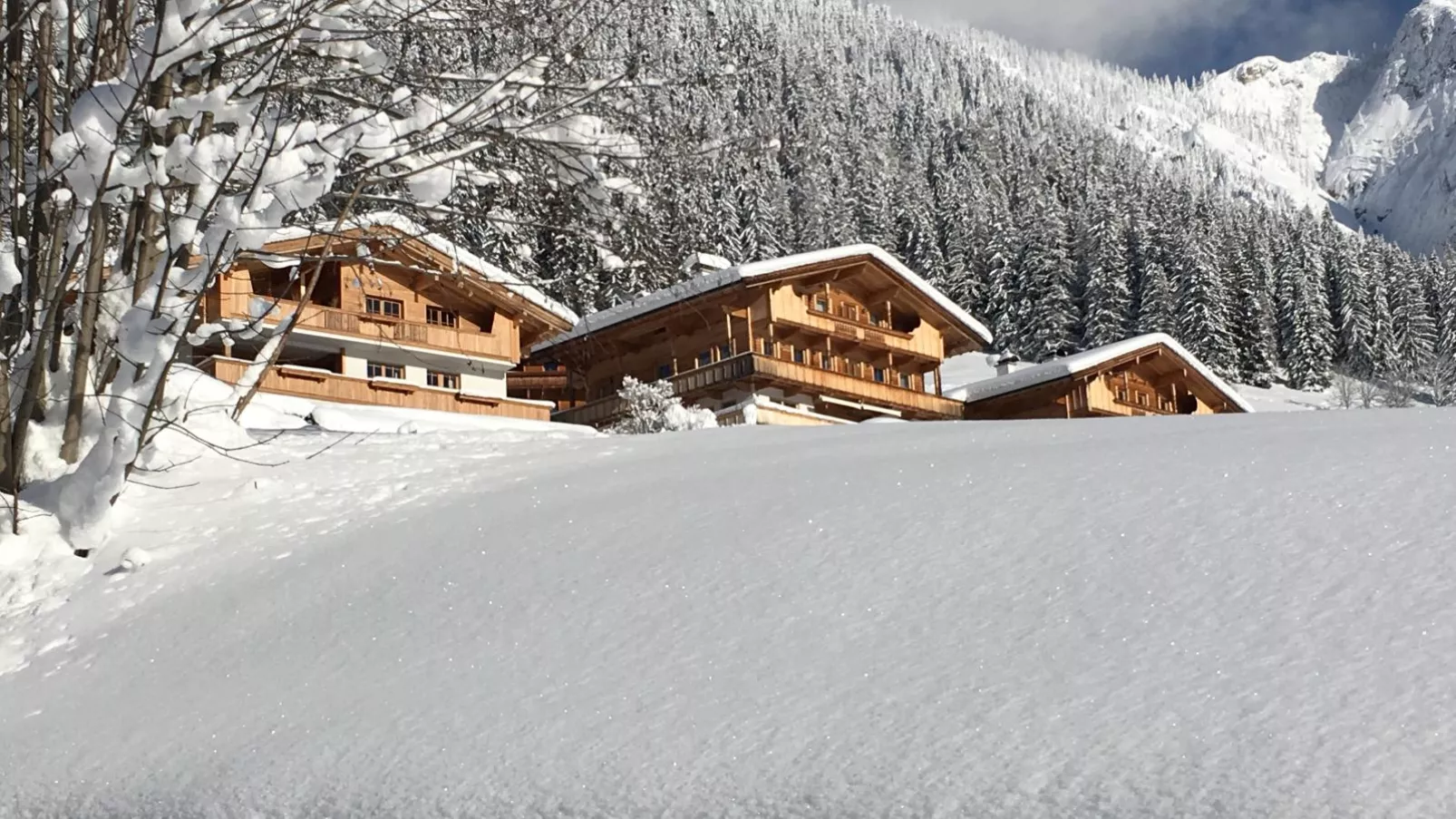 Haus Fernwald Top Nynke-Exterieur winter