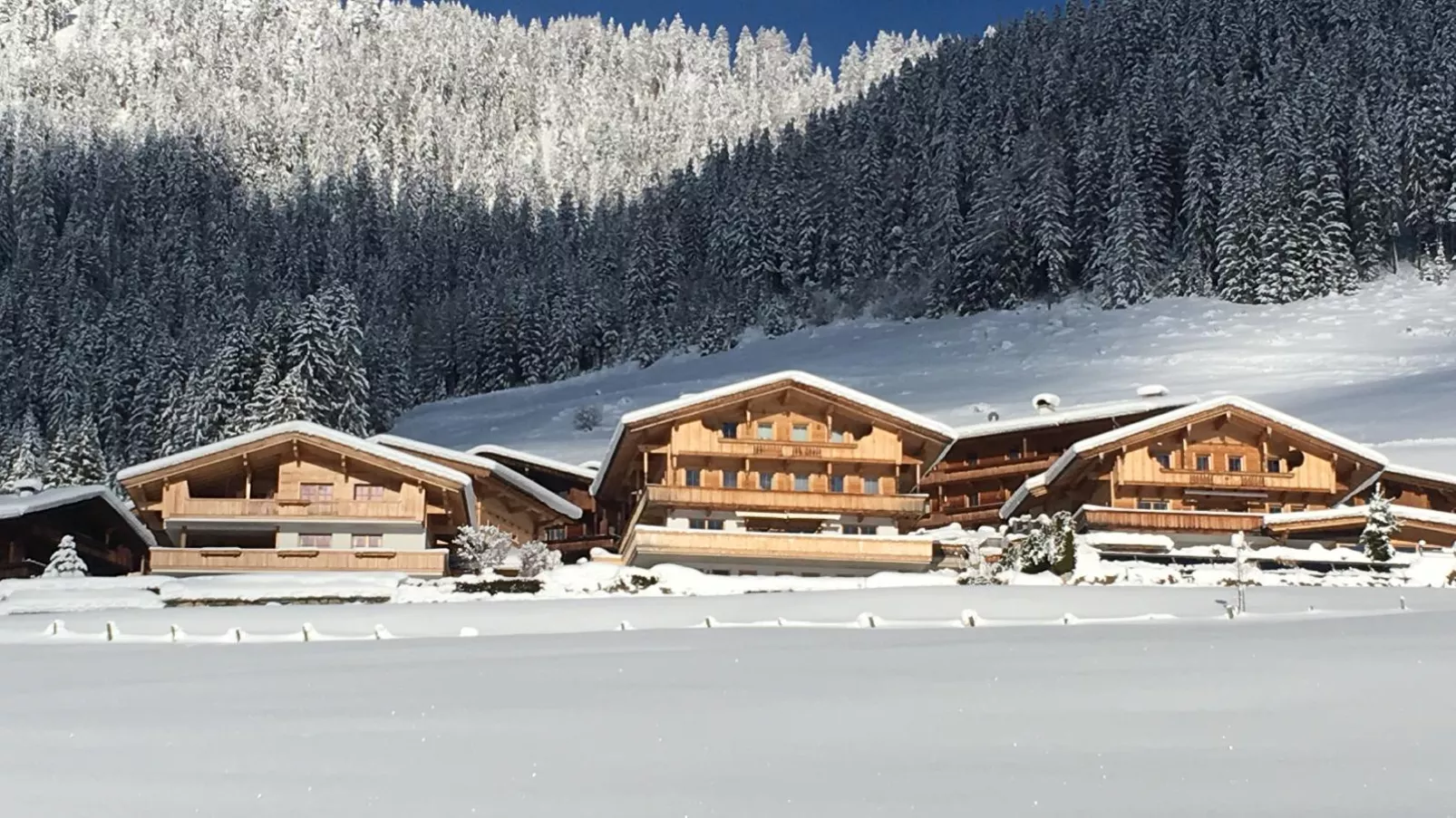 Haus Fernwald Top Nynke-Exterieur winter