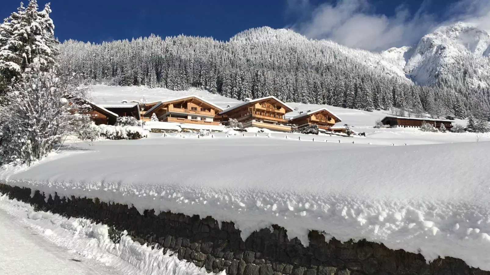 Haus Fernwald Top Tim und Nynke-Exterieur winter