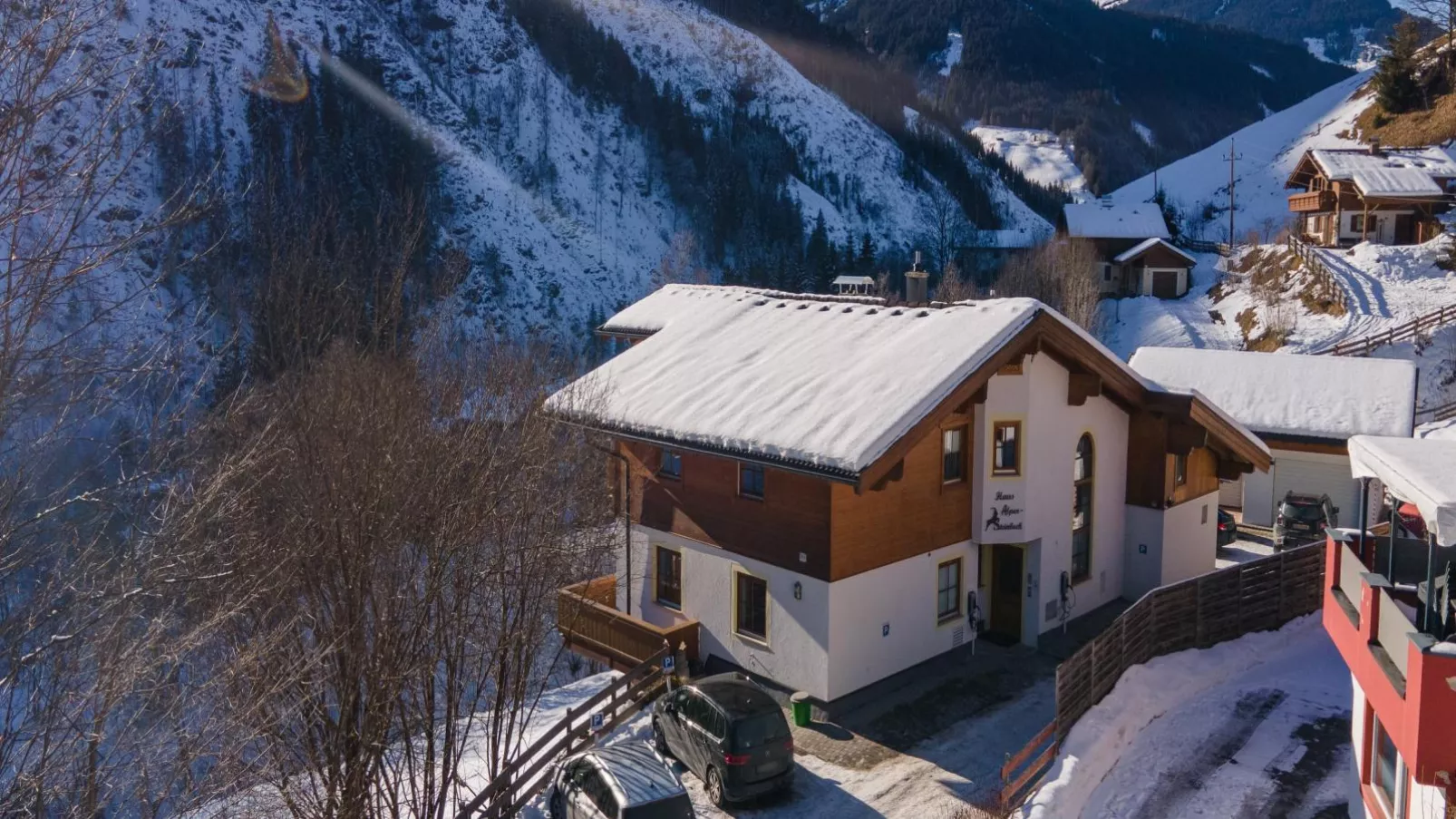 Alpensteinbock Saalbach L-Exterieur winter