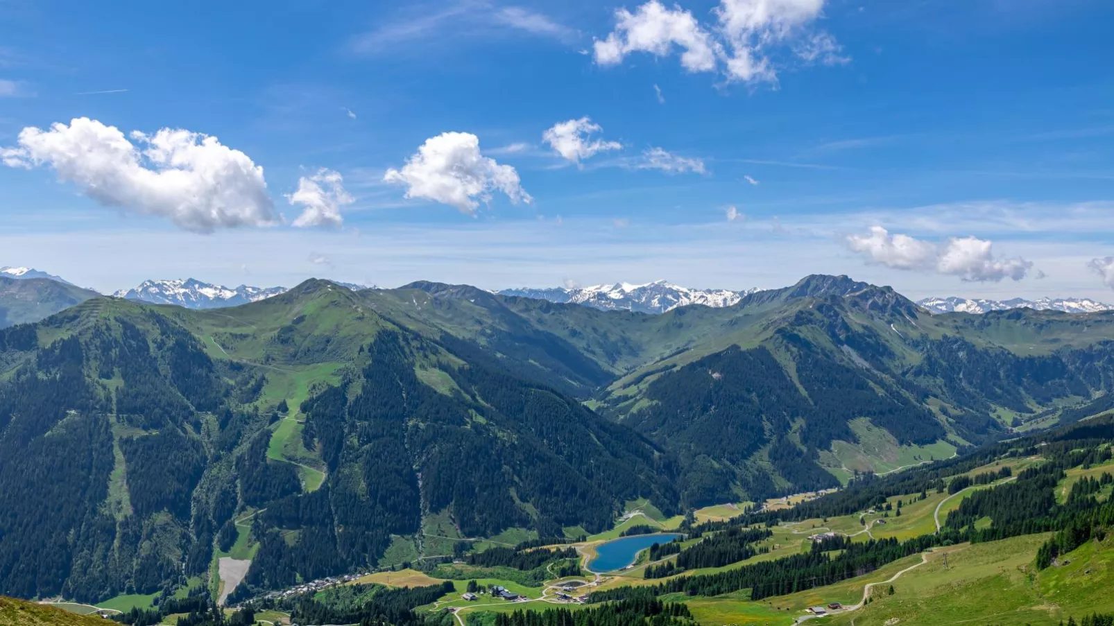 Alpensteinbock Saalbach B-Gebieden zomer 20km