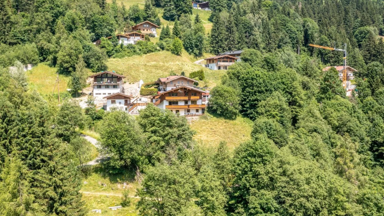 Alpensteinbock Saalbach B-Gebieden zomer 1km