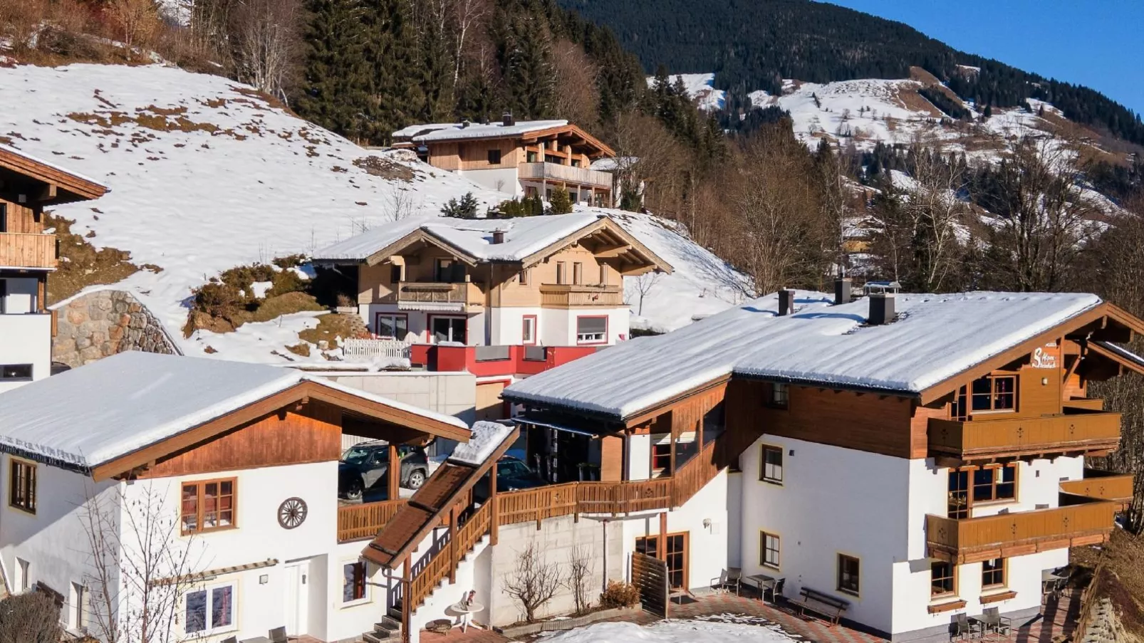 Alpensteinbock Saalbach A-Exterieur winter