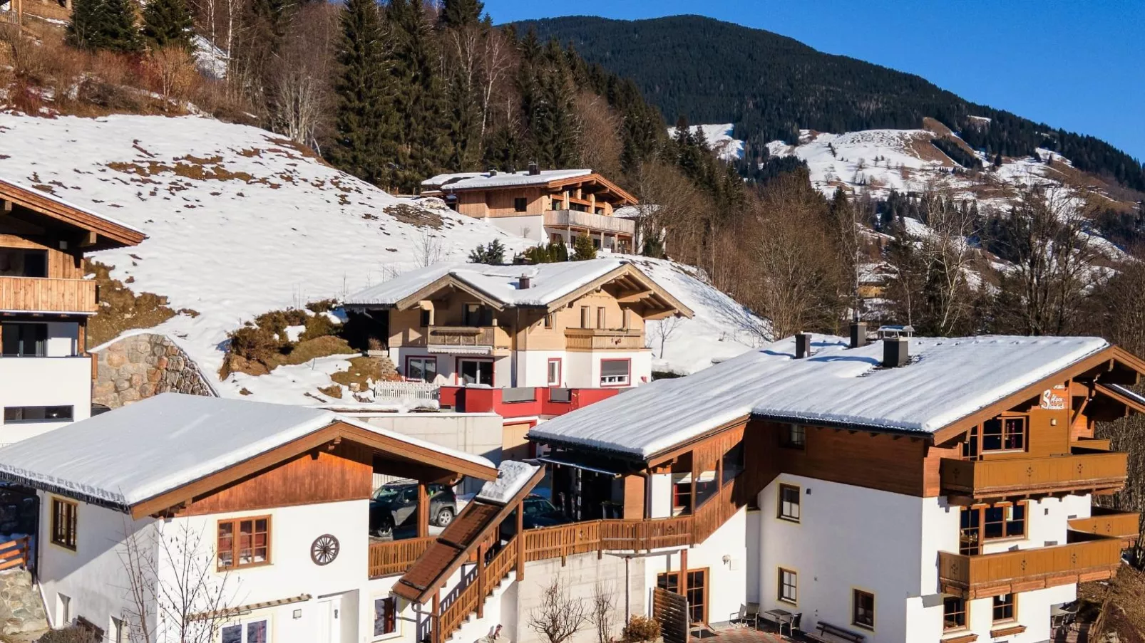 Alpensteinbock Saalbach-Exterieur winter