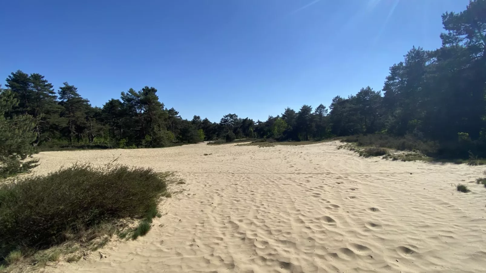 Boshuisje-Gebieden zomer 1km