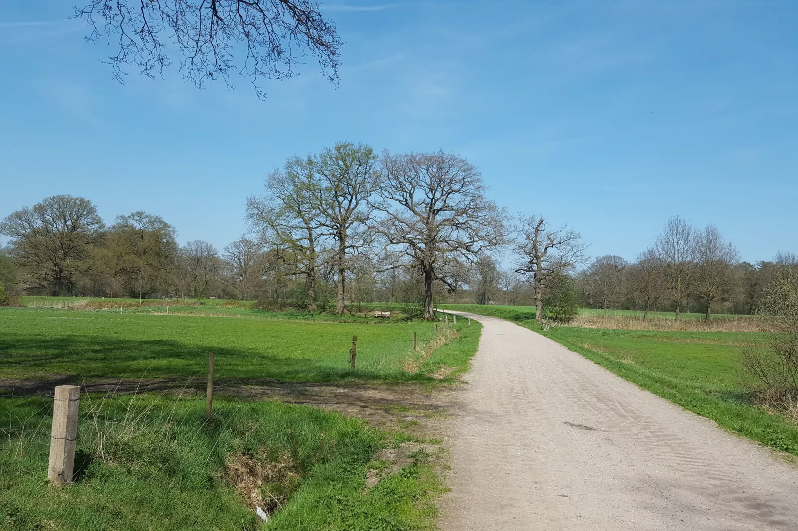 Ganzenmars-Gebieden zomer 1km