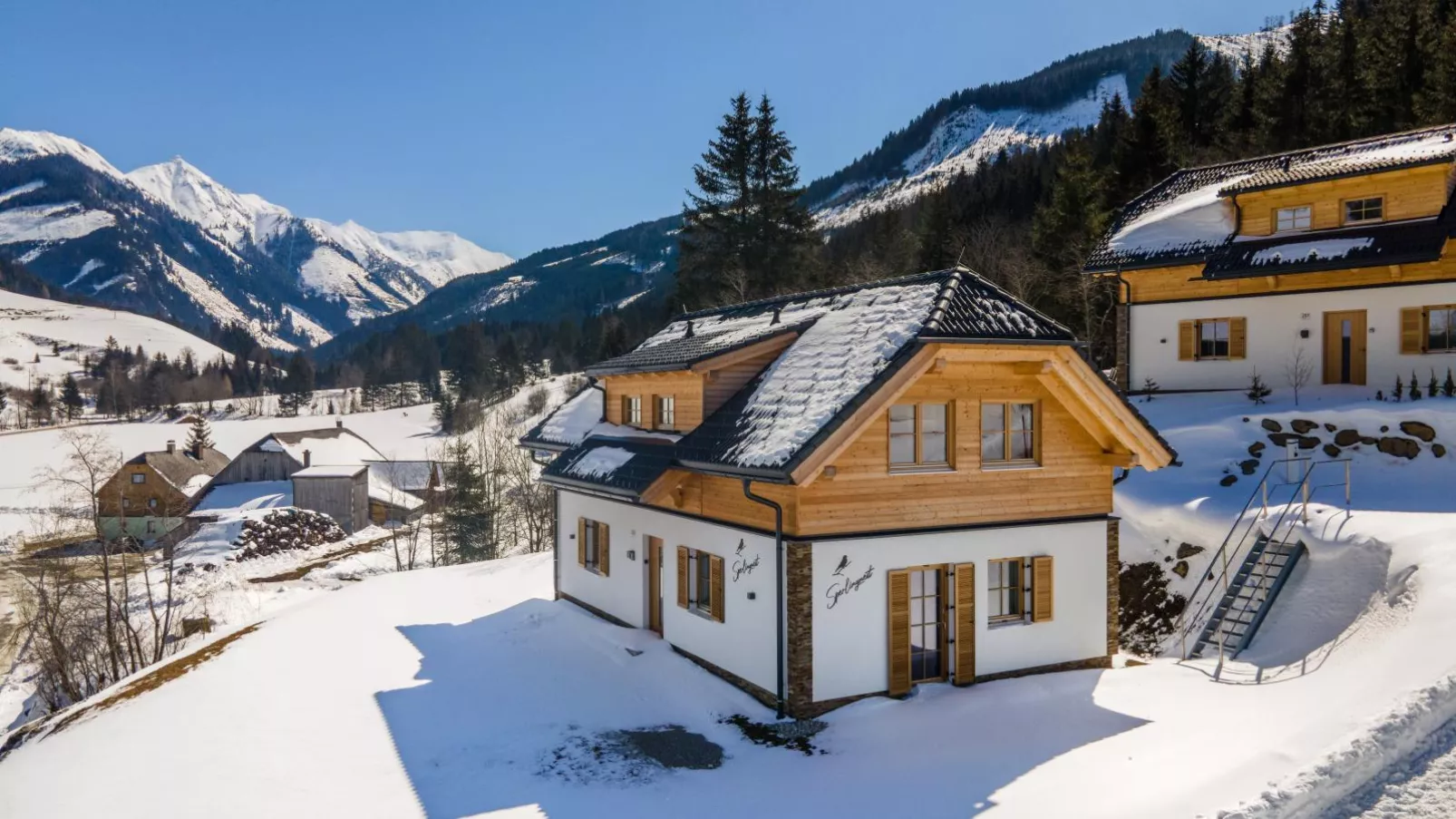 Sperlingnest-Exterieur winter
