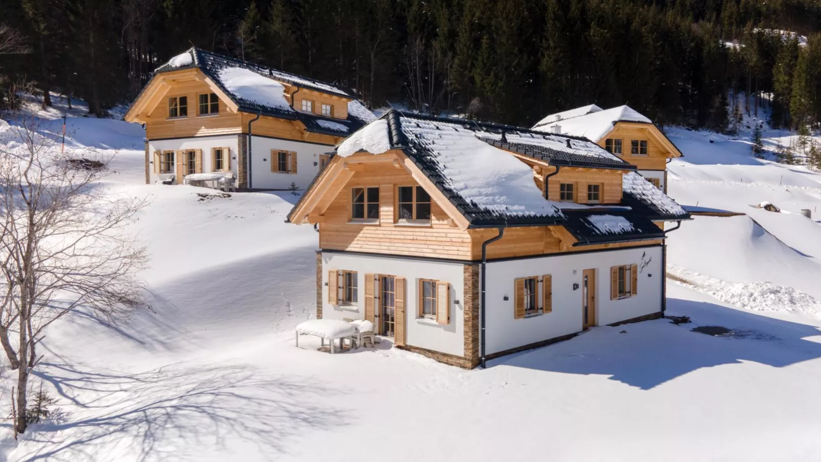 Sperlingnest-Exterieur winter