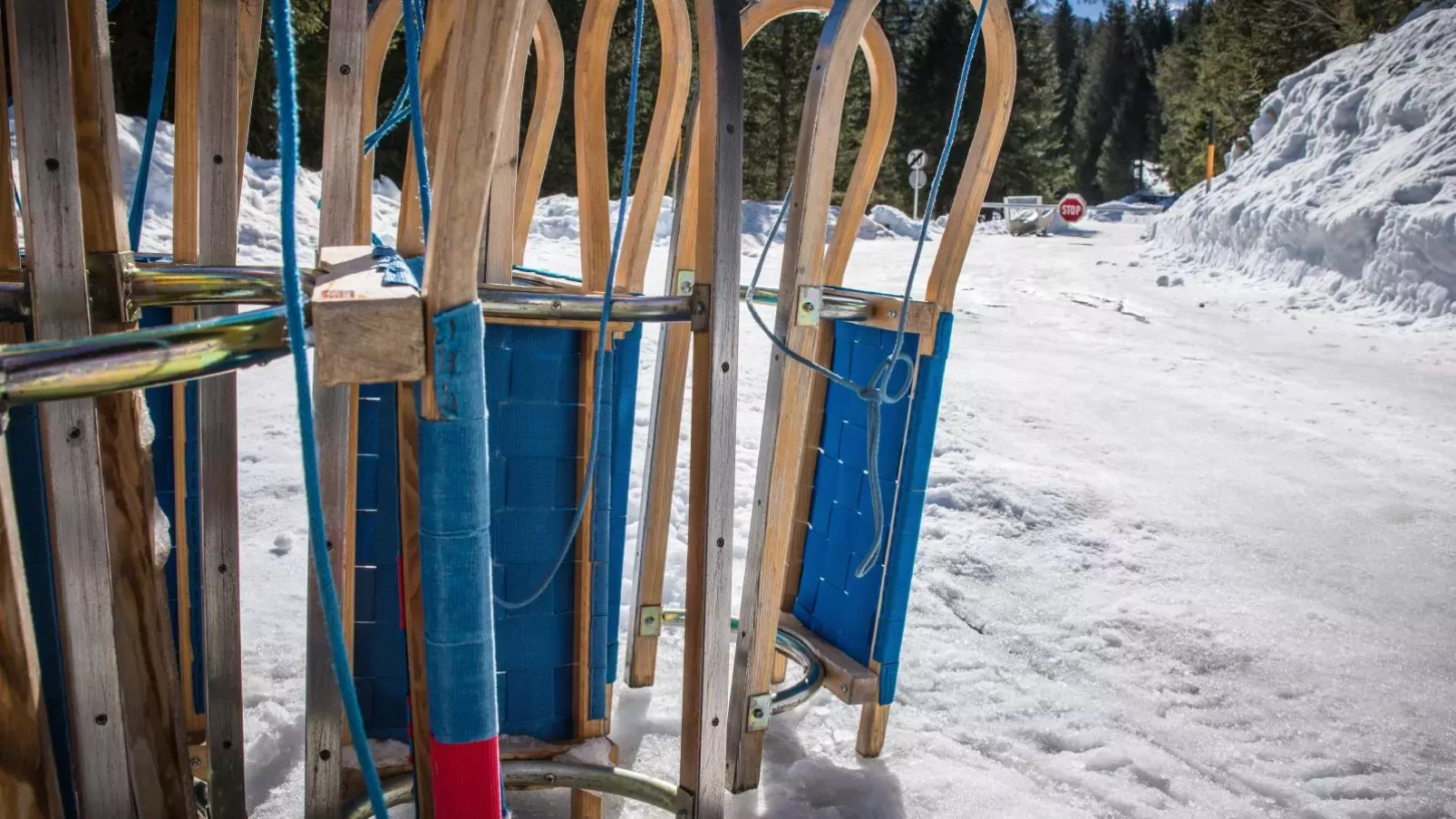 Riesner Alpenlodge-Gebied winter 20km