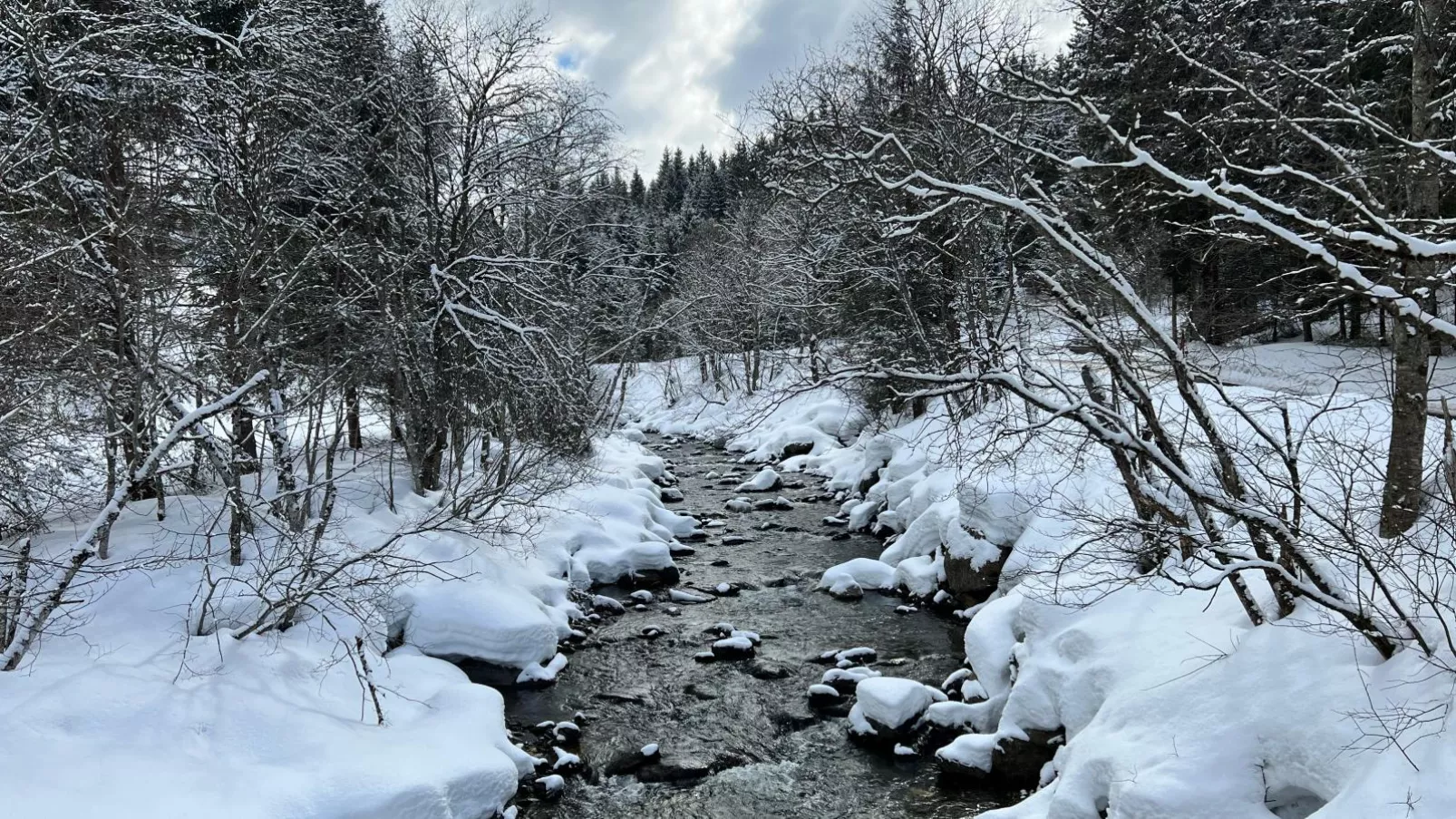 Haus Bente-Gebied winter 1km
