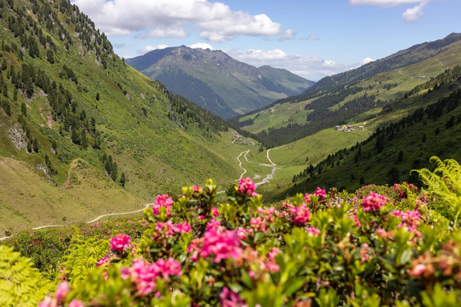 Thaler Hütte - Platzhirsch-Gebieden zomer 5km