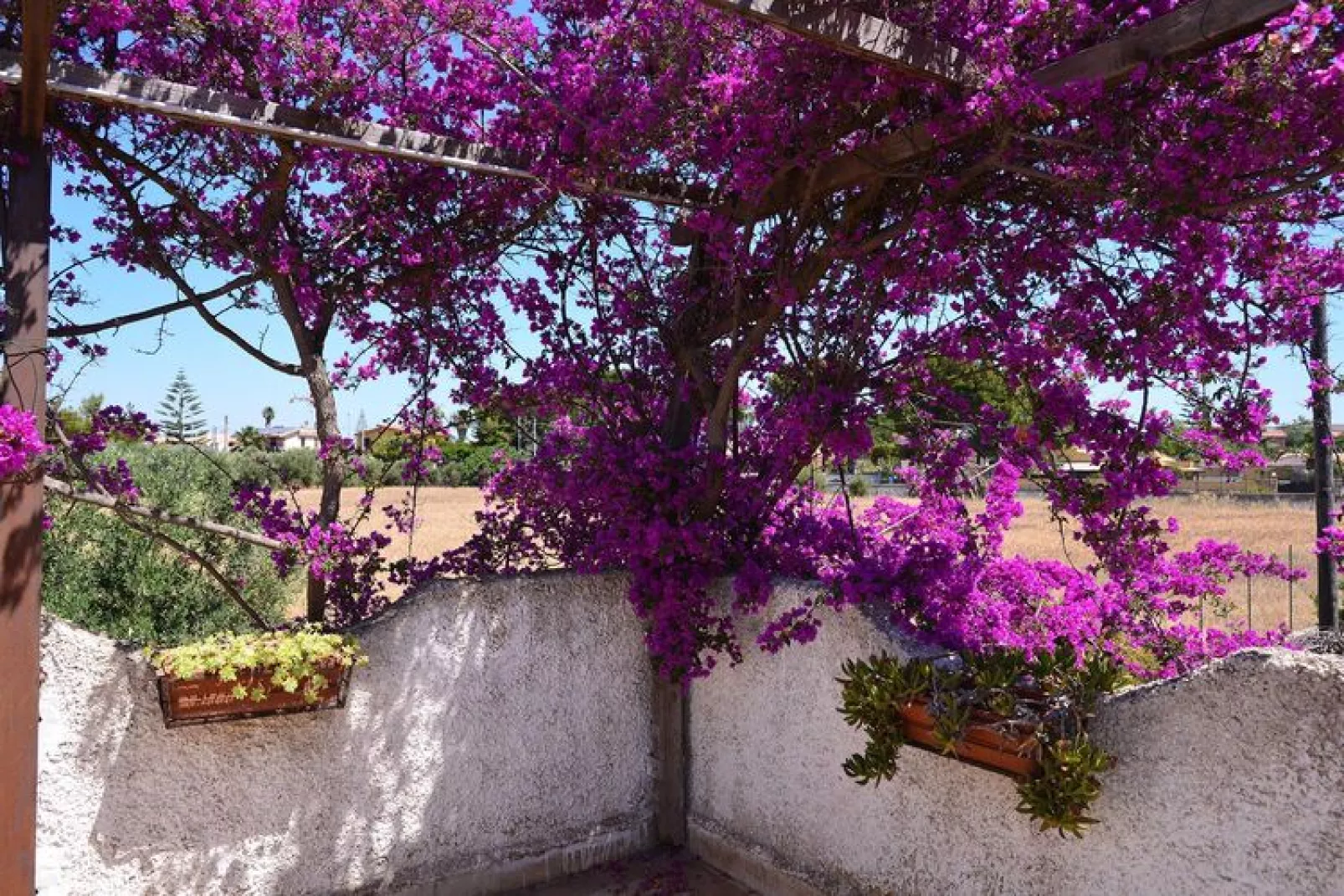 Holiday home Fanusa-Casa Fanusa mit Privatpool-Tuinen zomer