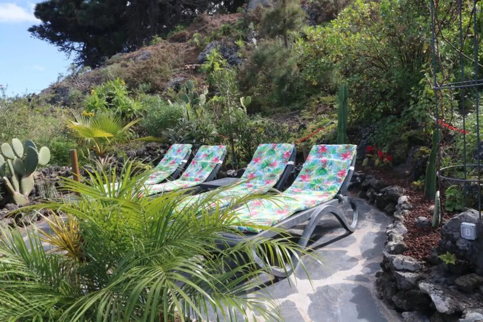 Finca La Hoya / 7-8 Personen-7-8 Personen-7-8 Personen