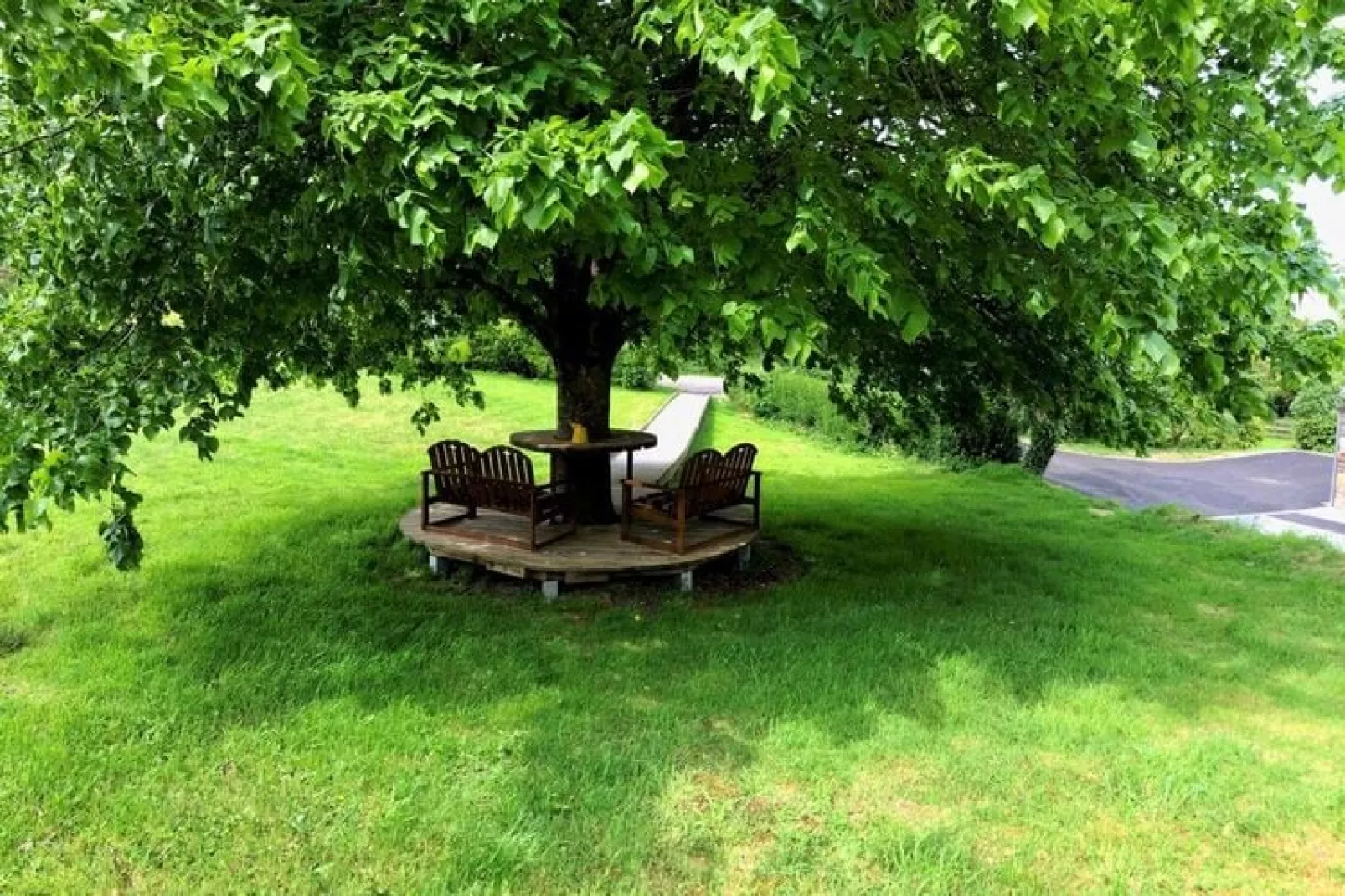 gardensummer