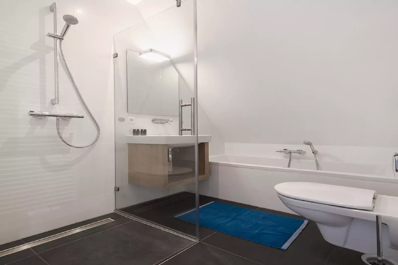Friese Meren Villa's 22-Badkamer