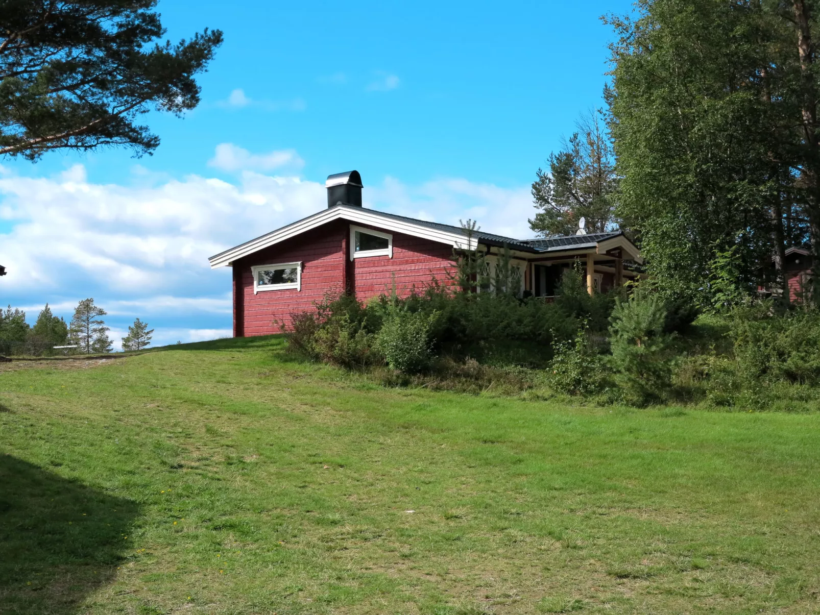 Kvisthån Idegranen-Buiten