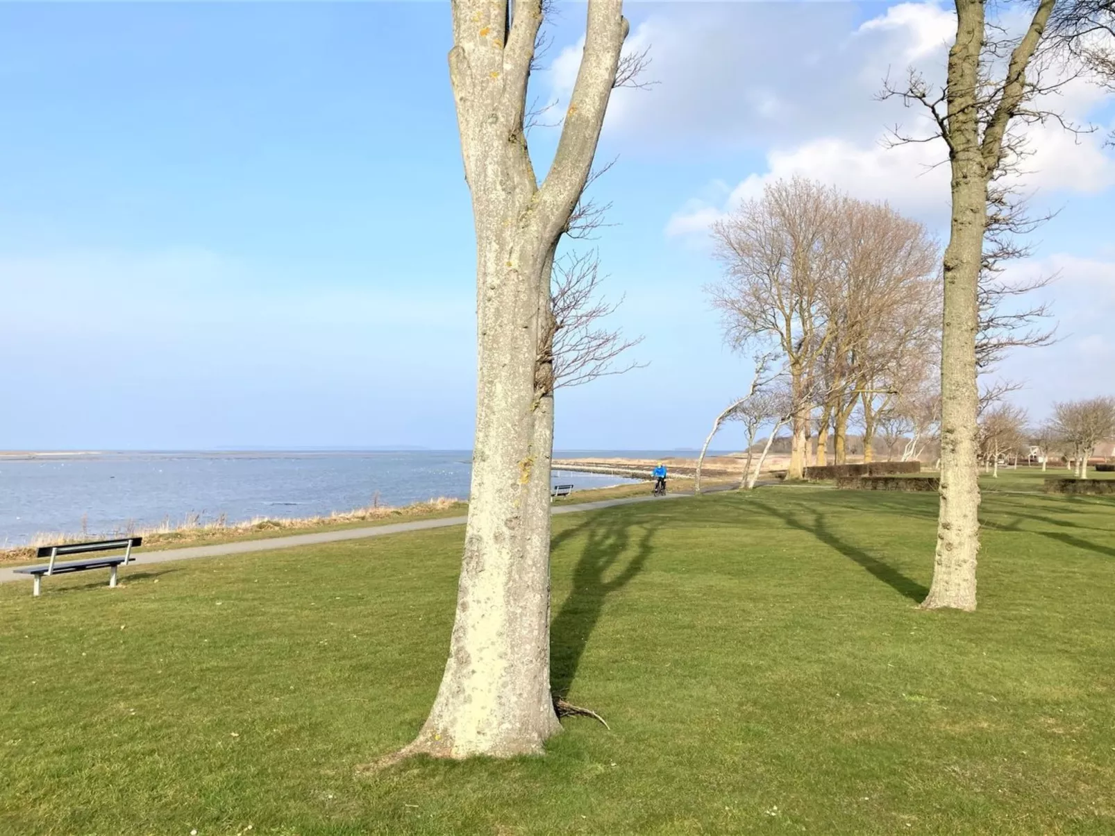 "Reinmoth" - 100m from the sea-Buiten