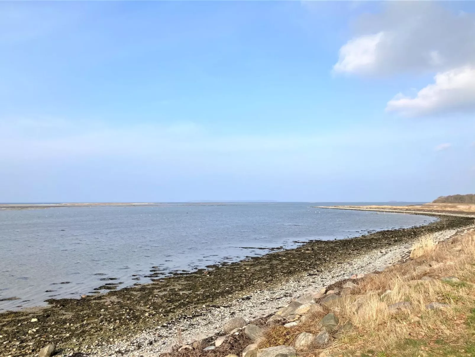 "Reinmoth" - 100m from the sea-Buiten