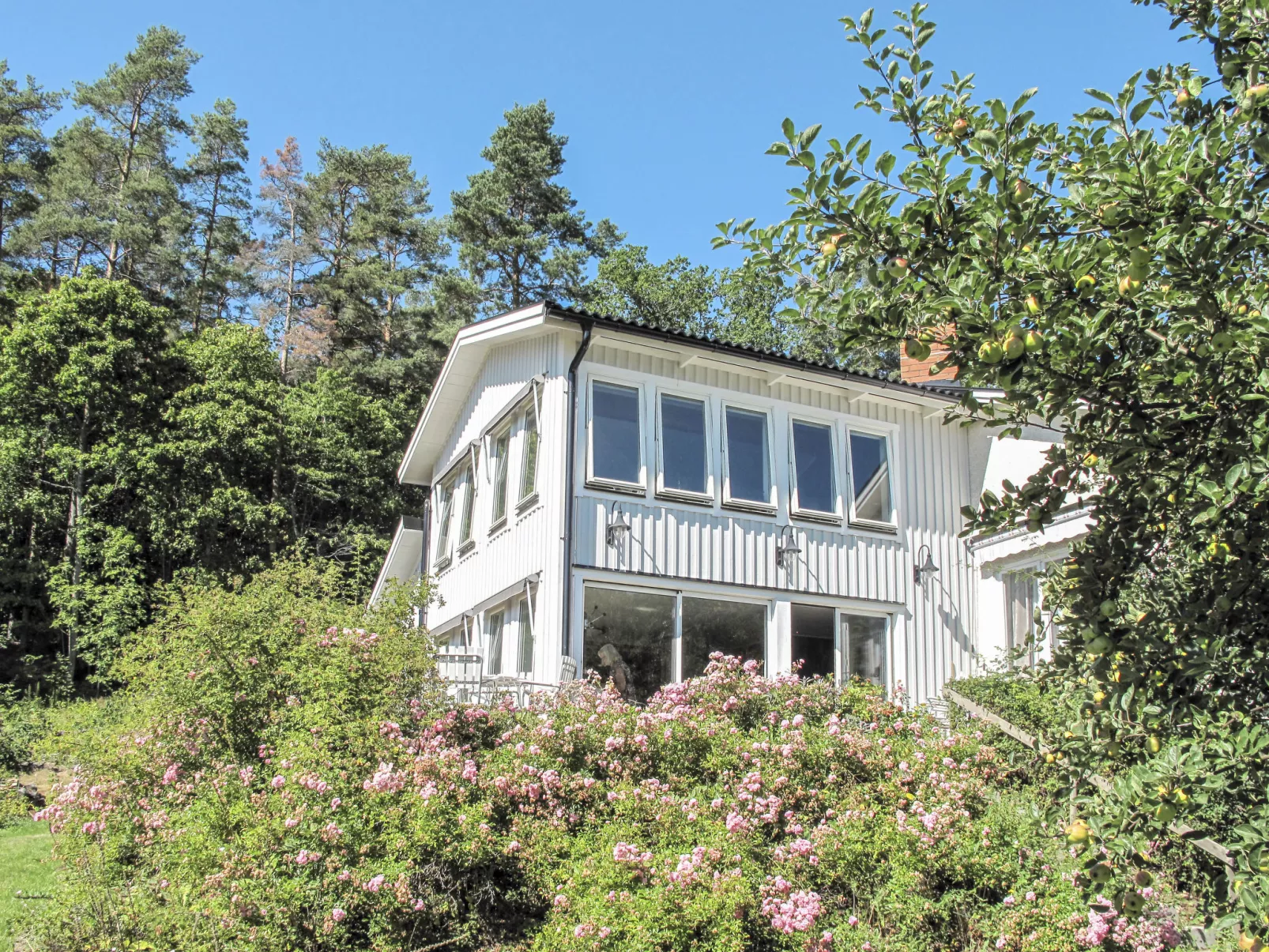 Stegeborg Sjöstugan