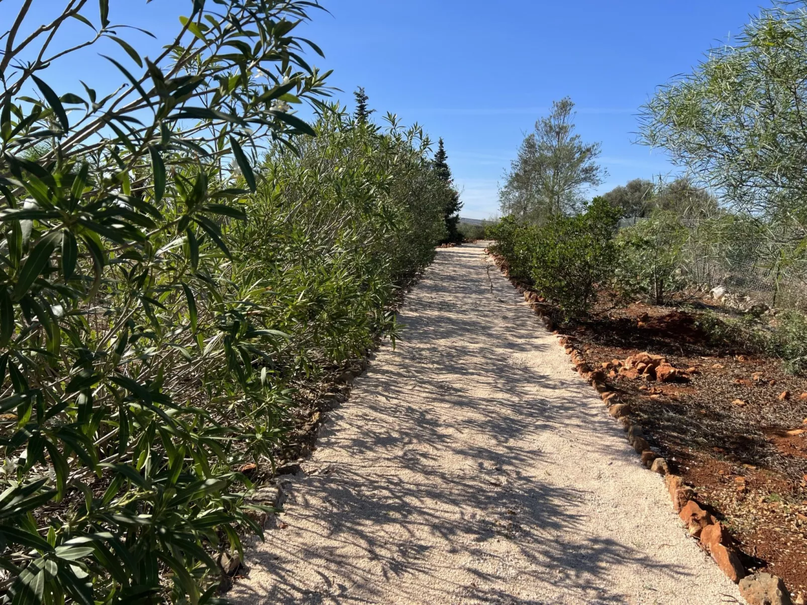 Quinta do Mosaico-Buiten