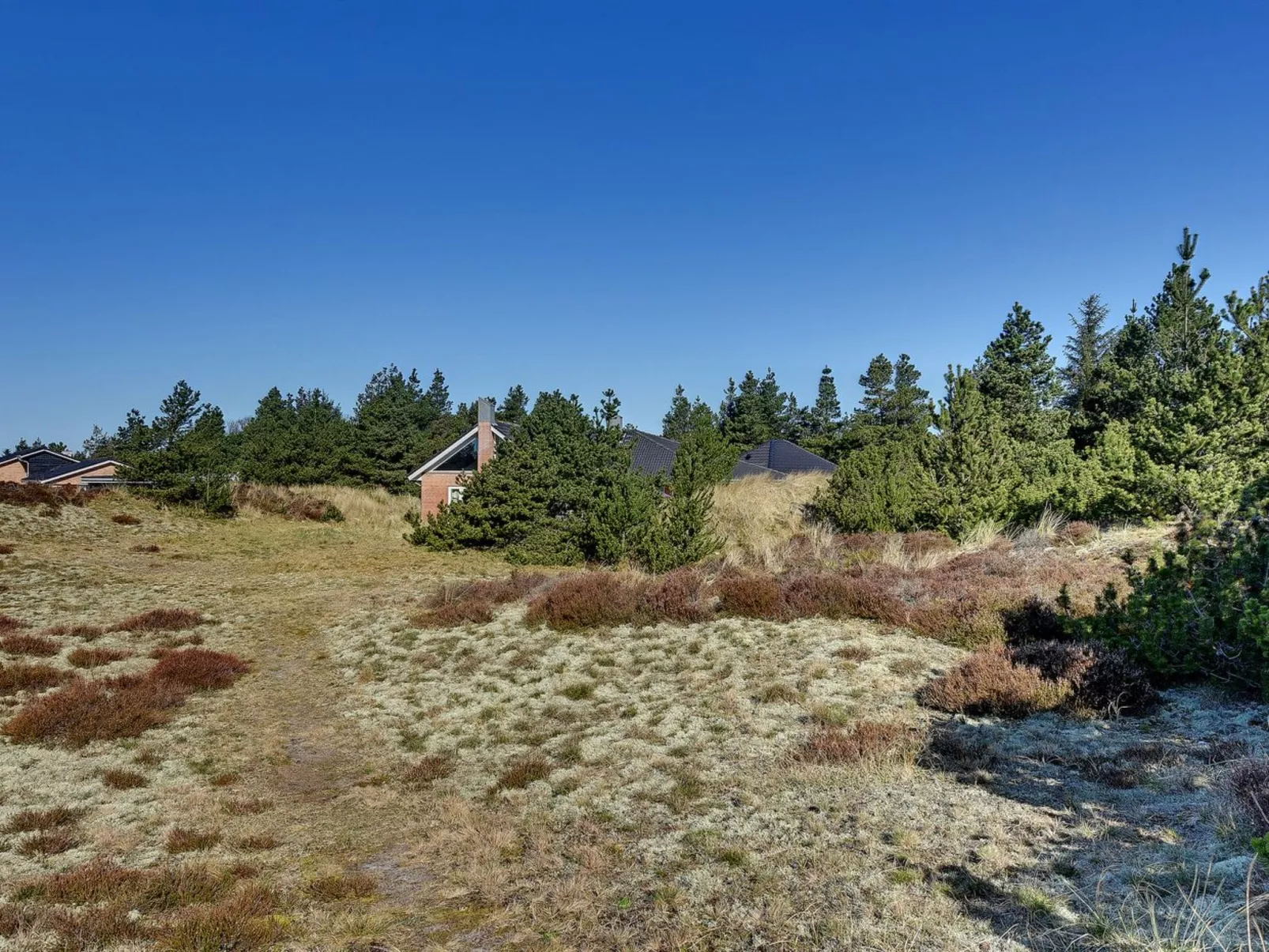 "Sjamme" - 1.2km from the sea-Buiten