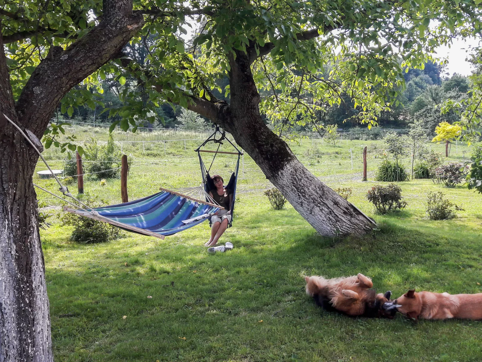 Dom na Skraju-Buiten