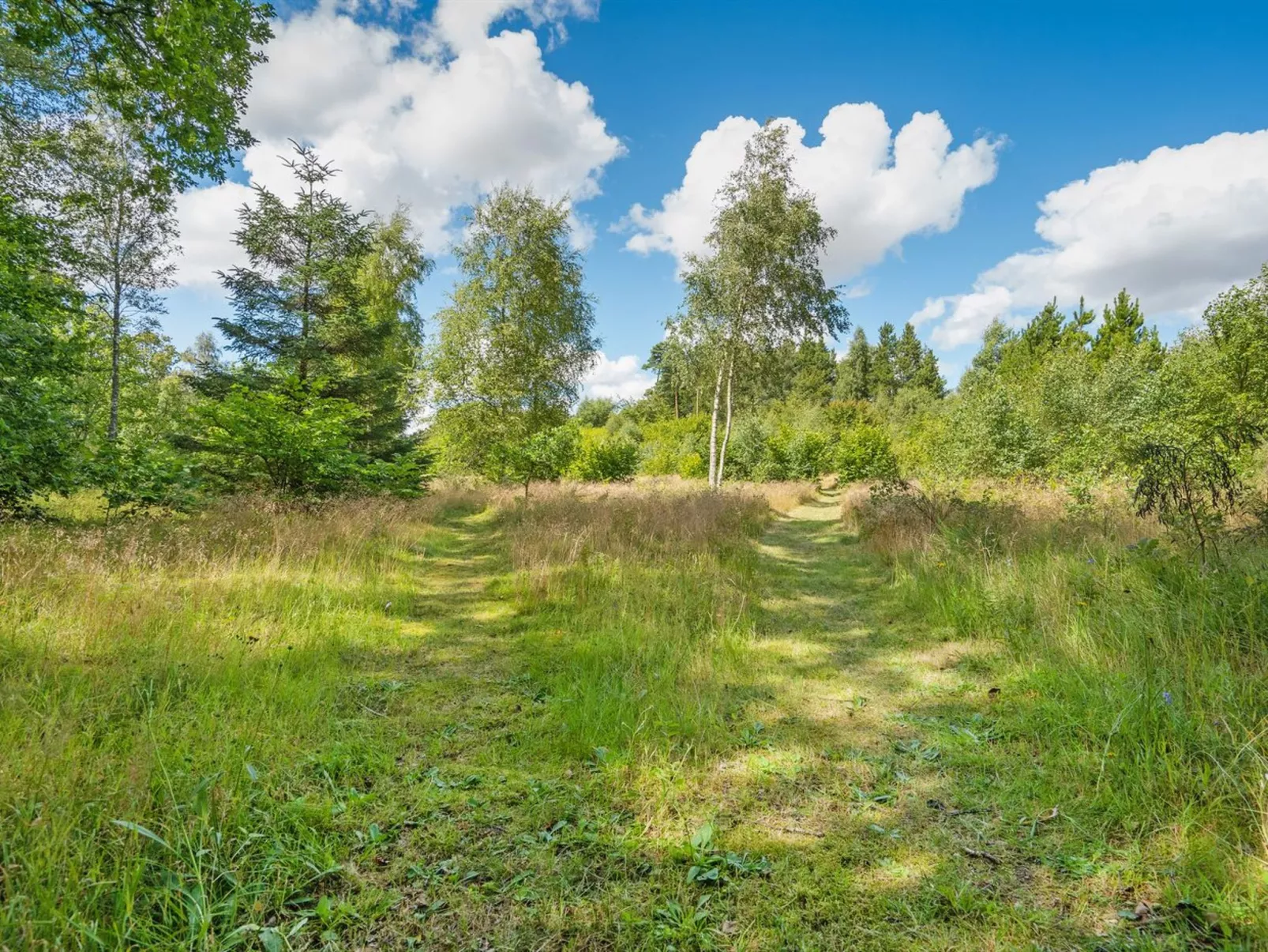"Thorine" - 750m from the sea-Buiten