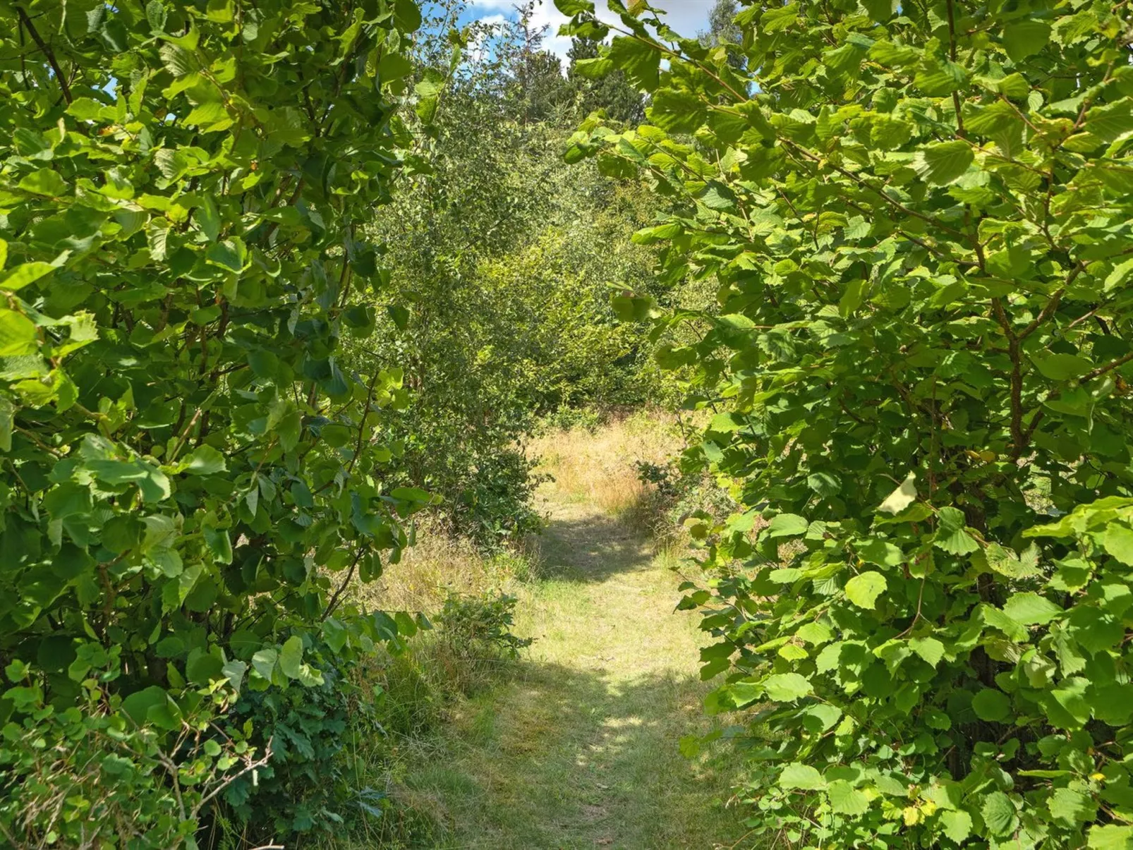 "Thorine" - 750m from the sea-Buiten
