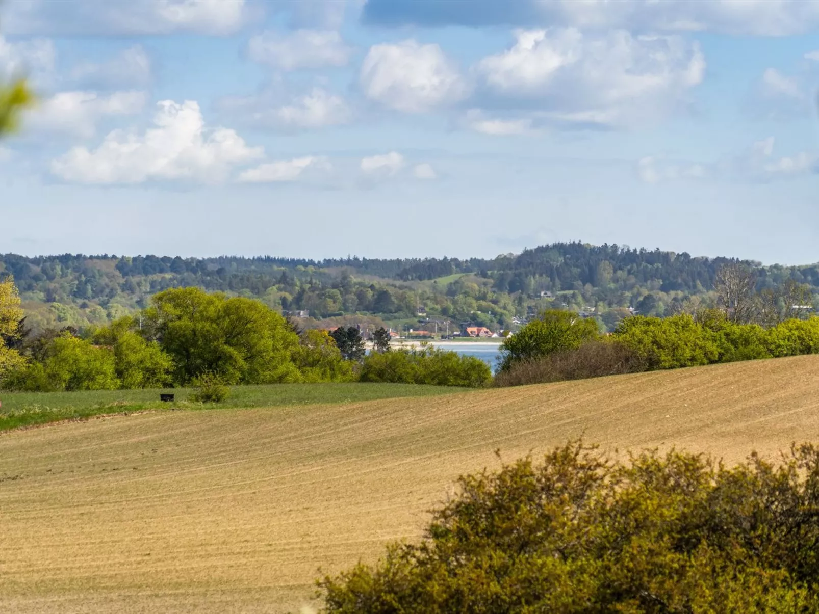 "Frellaf" - 250m from the sea-Buiten