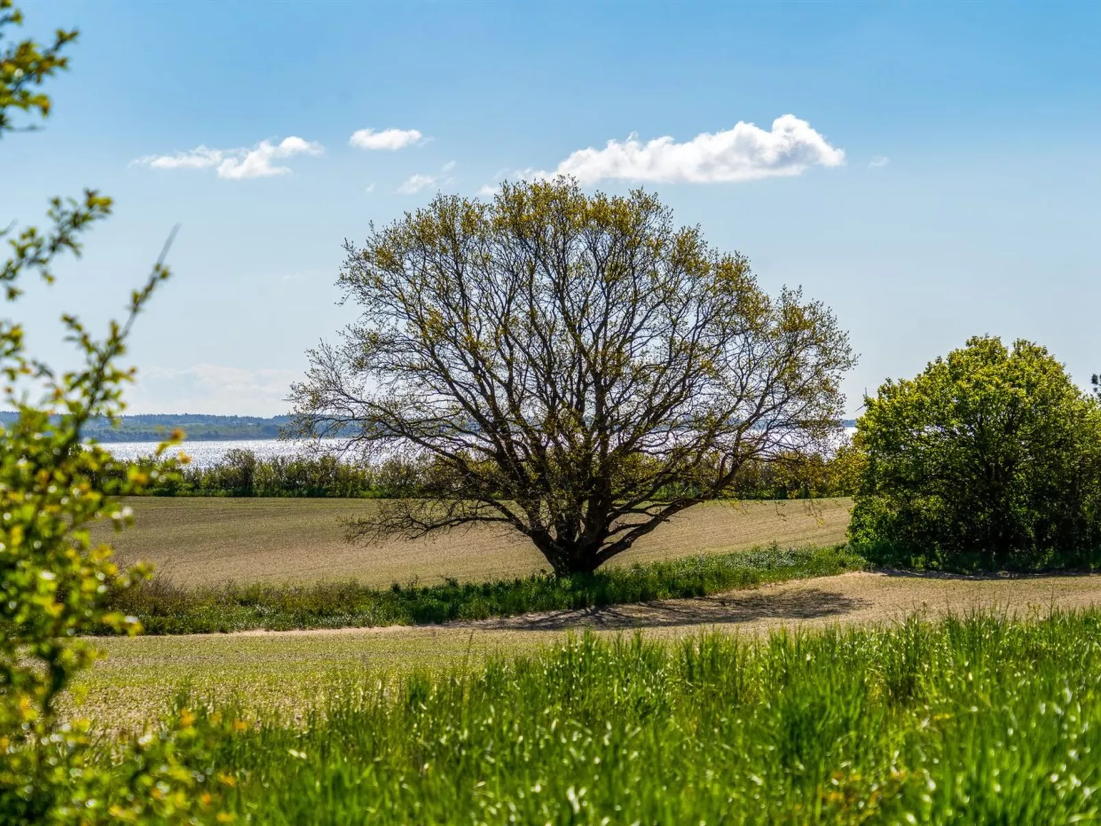 "Frellaf" - 250m from the sea-Buiten