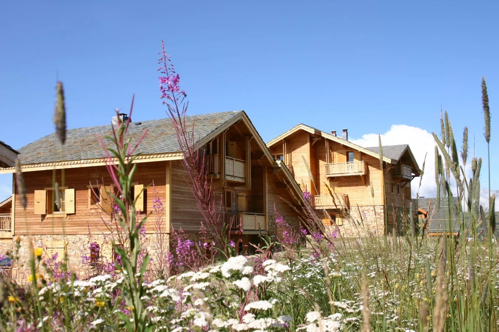 Les Chalets de l'Altiport 1