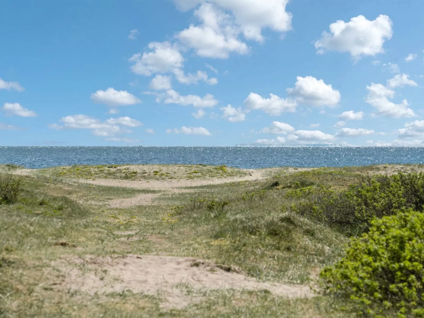 "Asfrith" - 400m from the sea-Buiten
