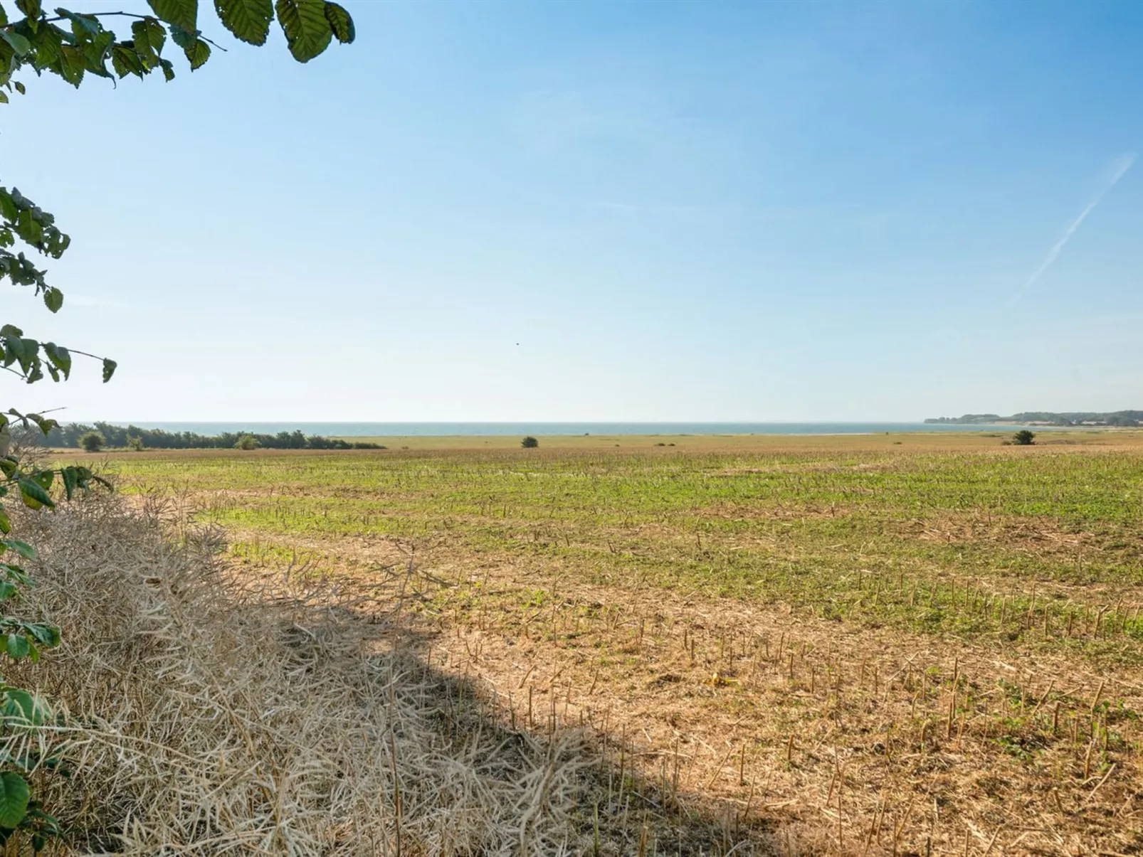 "Myrte" - 500m from the sea-Buiten