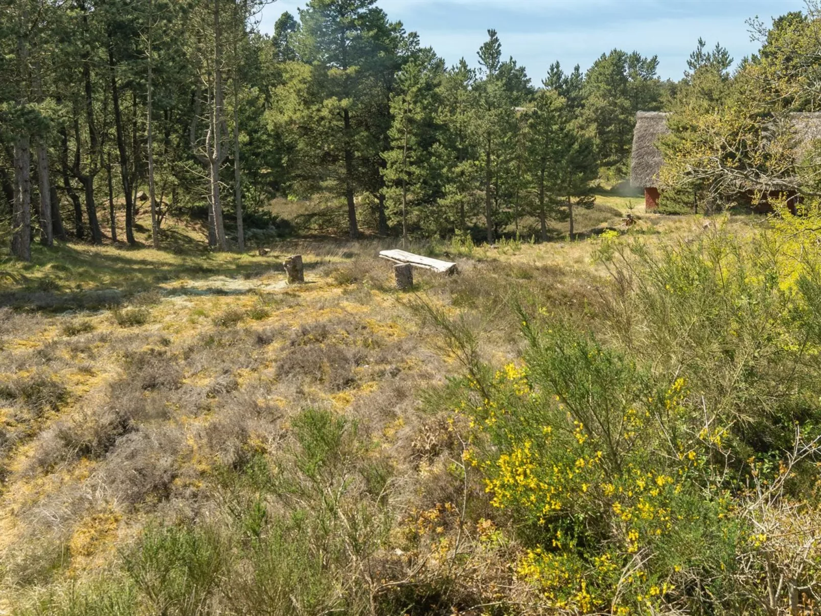 "Ridir" - 3.5km from the sea-Buiten
