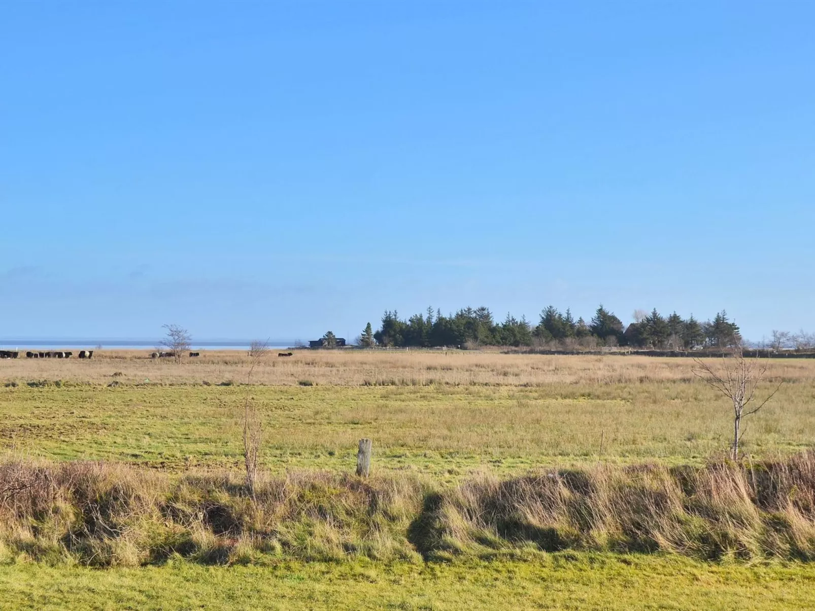 "Clare" - 4km from the sea-Buiten