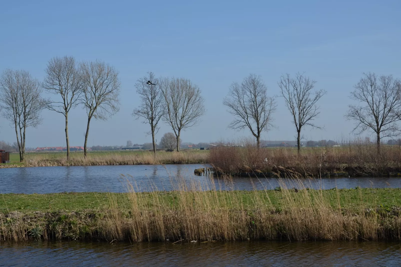 Resort de Rijp 3-Gebieden zomer 5km