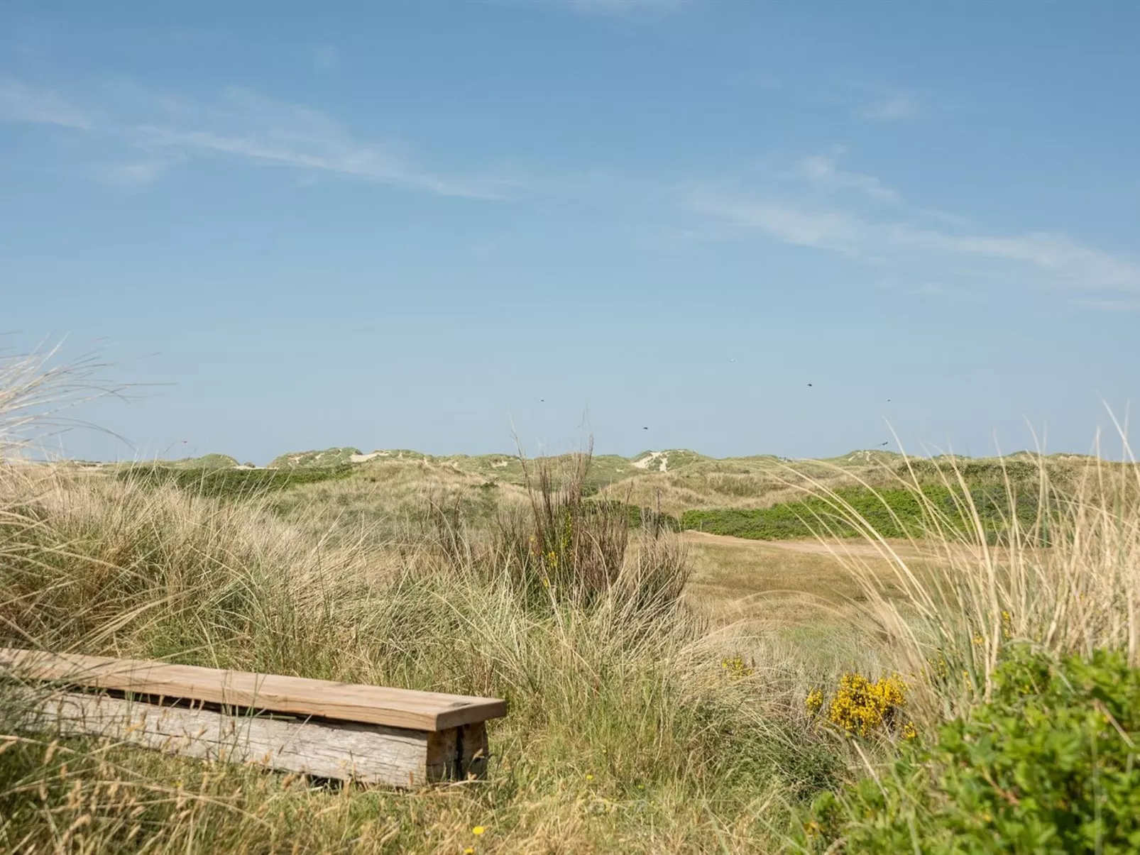 "Nyssa" - 350m from the sea-Buiten